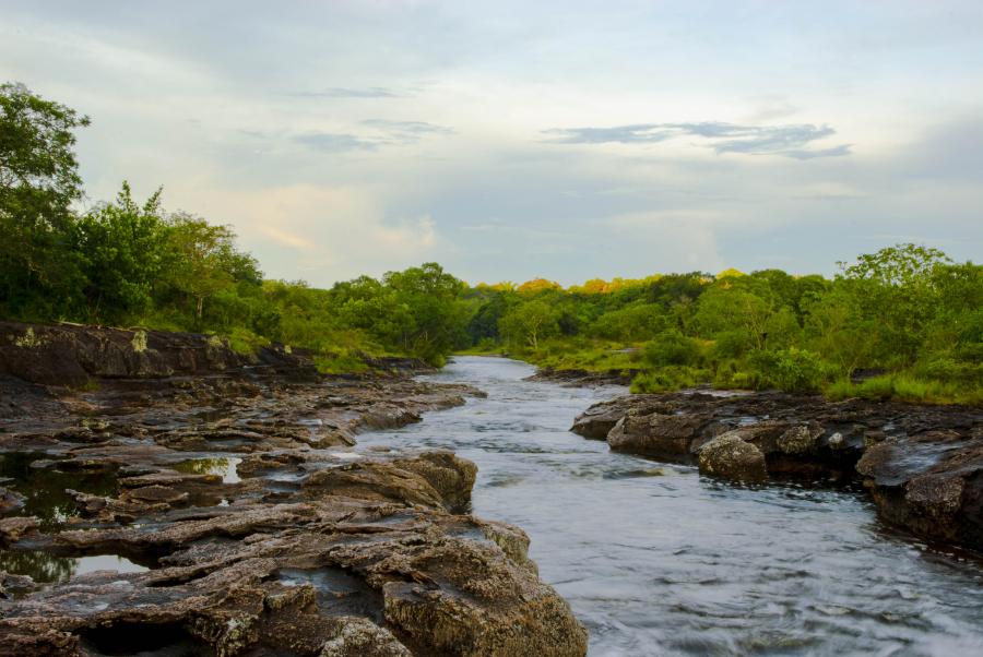 Caño de Los Pozos, Boyaca, Puerto Boyaca, Colombi...