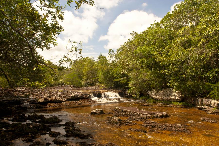 Caño Los Pozos, San Jose del Guaviare, Colombia