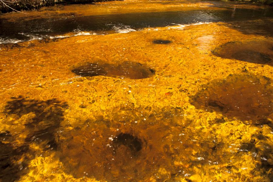 Caño Los Pozos, San Jose del Guaviare, Colombia