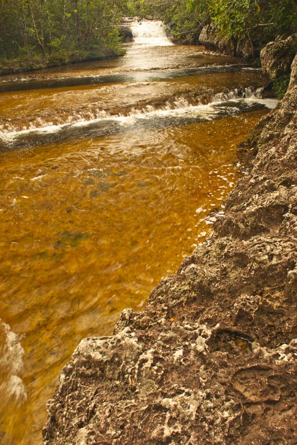 Caño Los Pozos, San Jose del Guaviare, Colombia