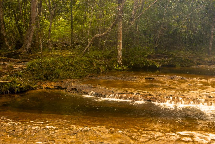 Caño Los Pozos, San Jose del Guaviare, Colombia