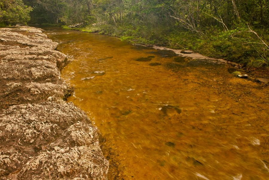 Caño Los Pozos, San Jose del Guaviare, Colombia