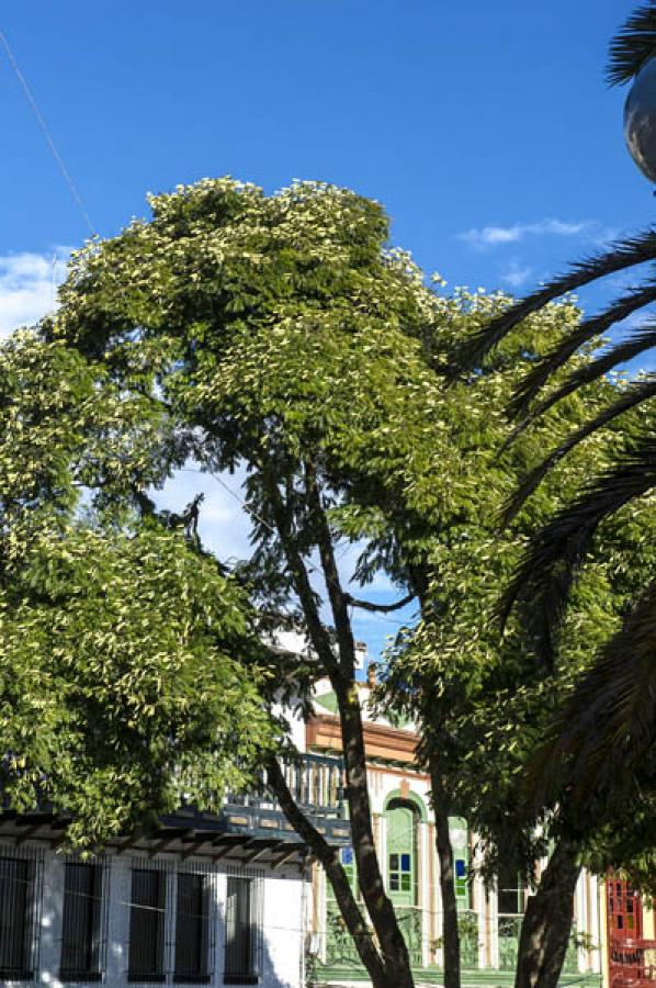 Parque Principal, Jerico, Antioquia,  Colombia