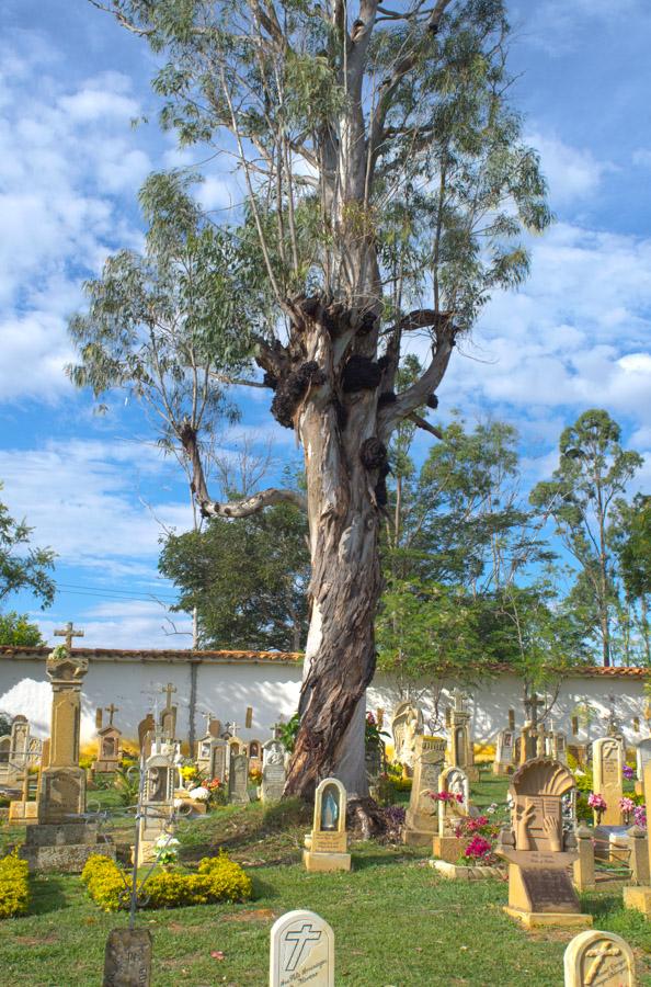 Cementerio de Barichara, Barichara, Santander, Buc...