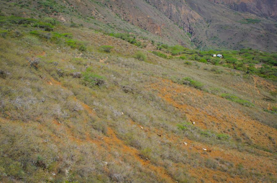 Cañon del Chicamocha, Santander, Bucaramanga, Col...