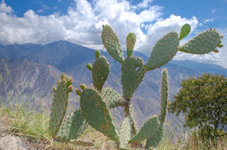 Cañon del Chicamocha, Santander, Bucaramanga, Col...