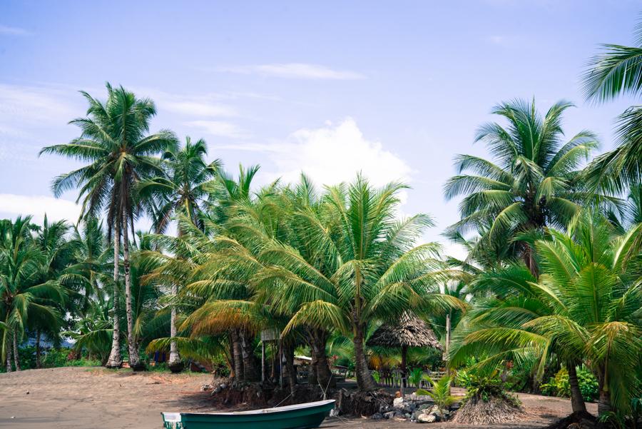 Playa de Nuqui, Choco, Quibdo, Colombia