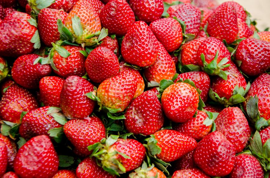 Fresas