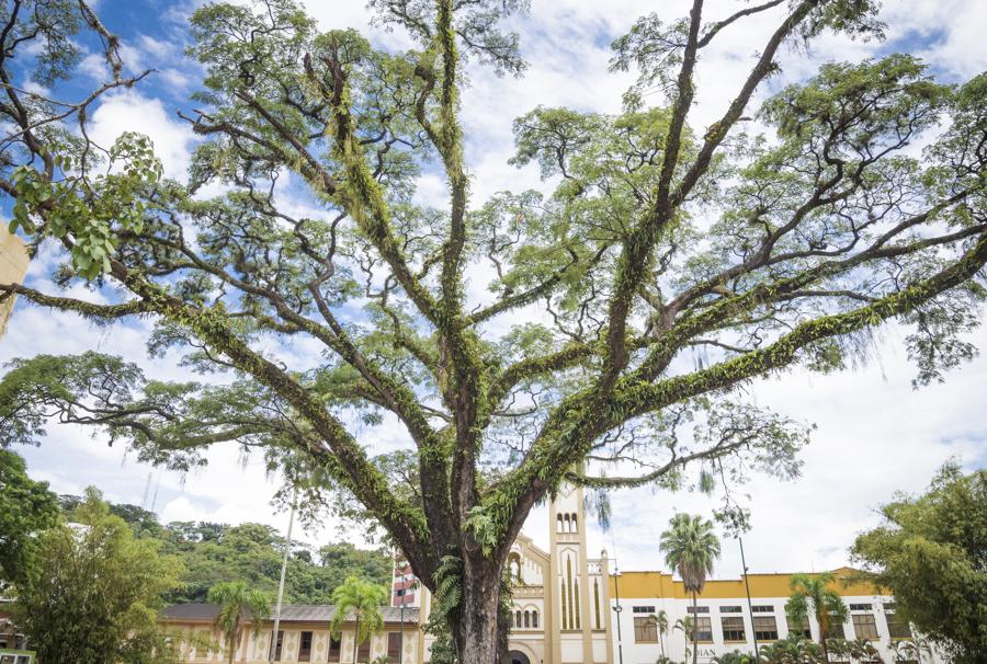 Parque Los Libertadores, Villavicencio, Meta, Colo...