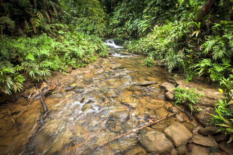 Choco, Antioquia, Colombia