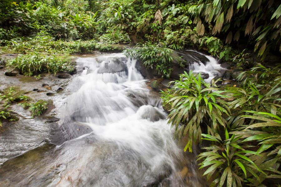 Choco, Antioquia, Colombia