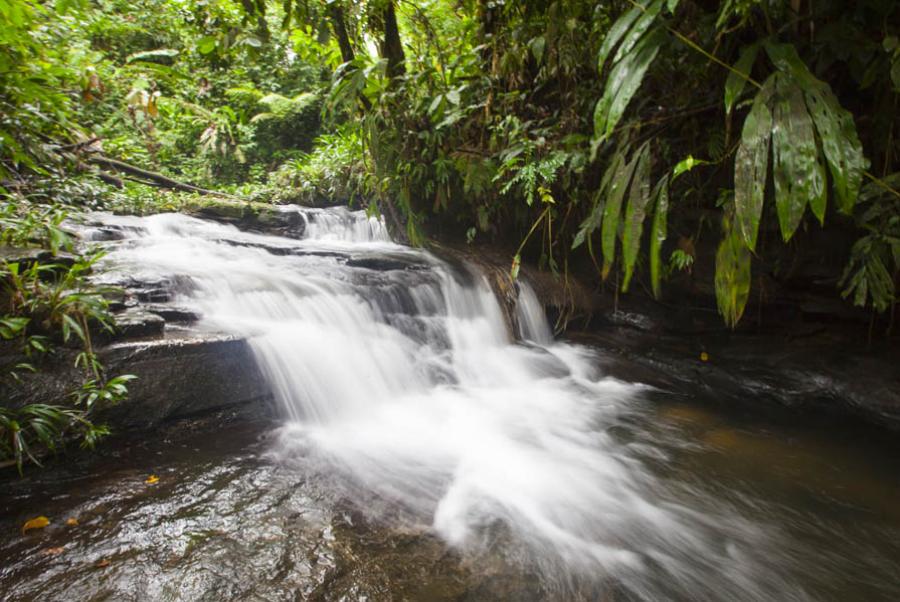 Choco, Antioquia, Colombia