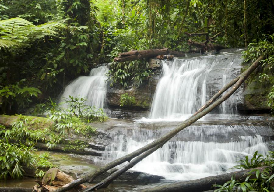 Choco, Antioquia, Colombia