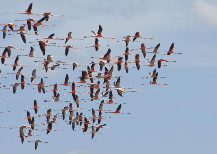 Guajira, Colombia