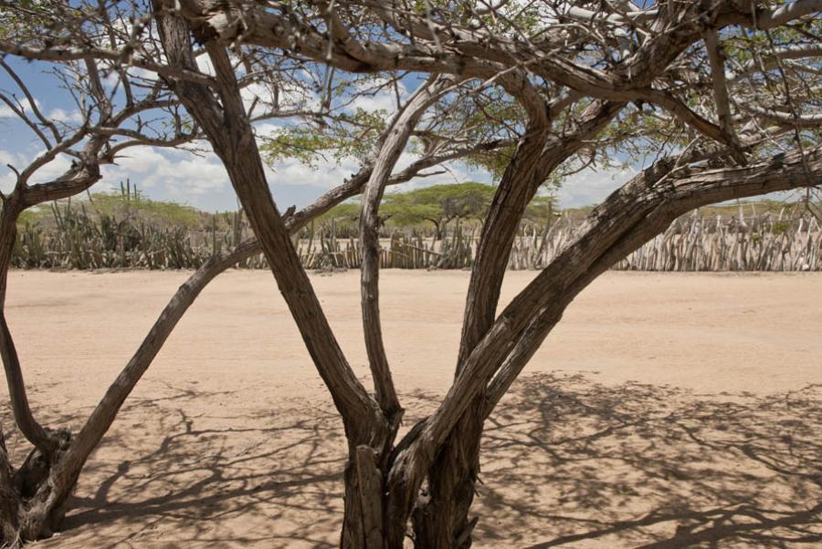 Guajira, Colombia