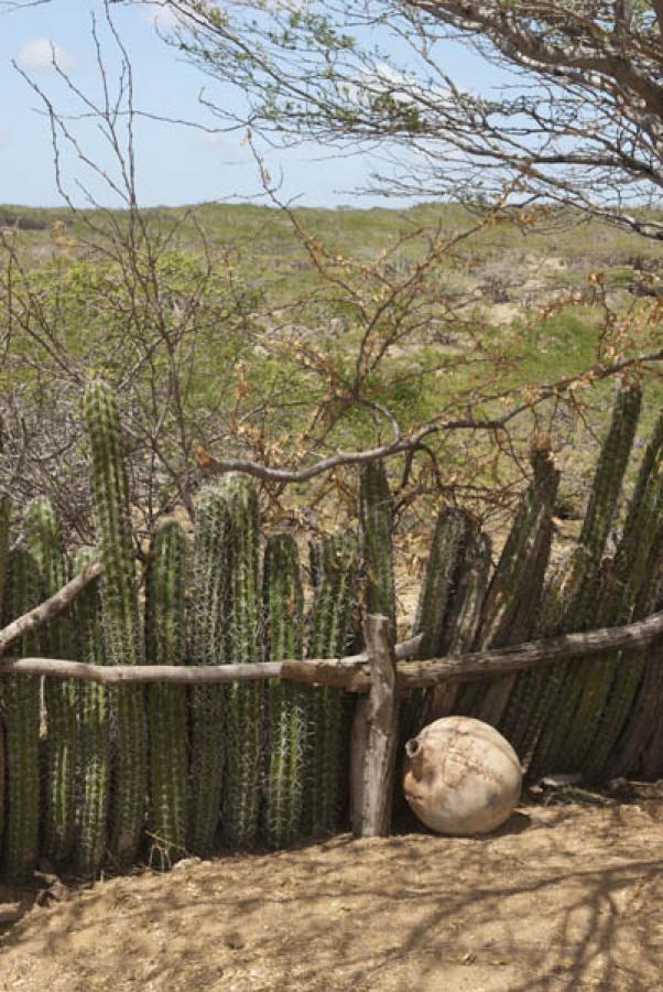 Guajira, Colombia