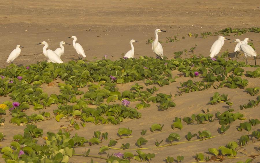 Guajira, Colombia