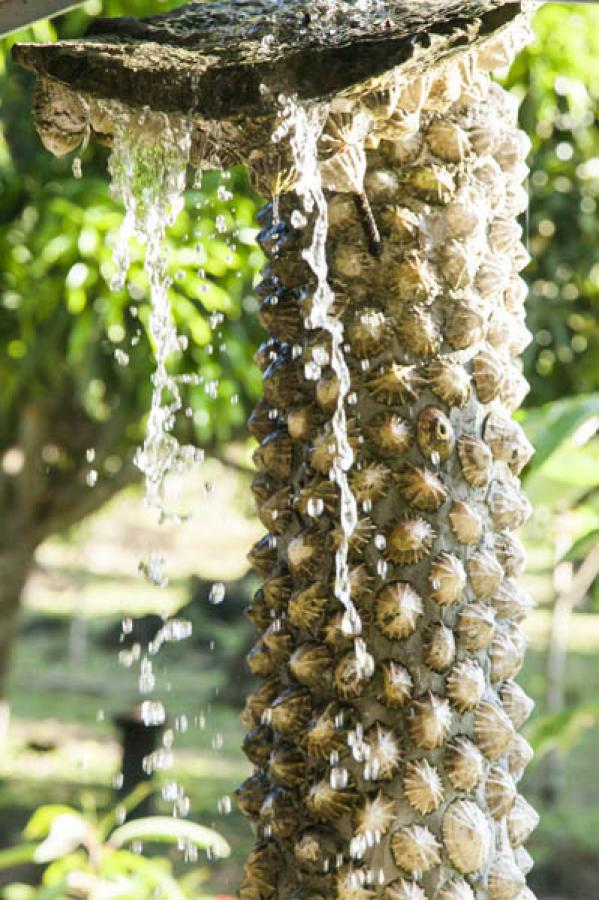 Capurgana, Acandi, Choco, Colombia