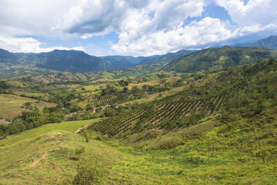 Tamesis, Antioquia, Colombia