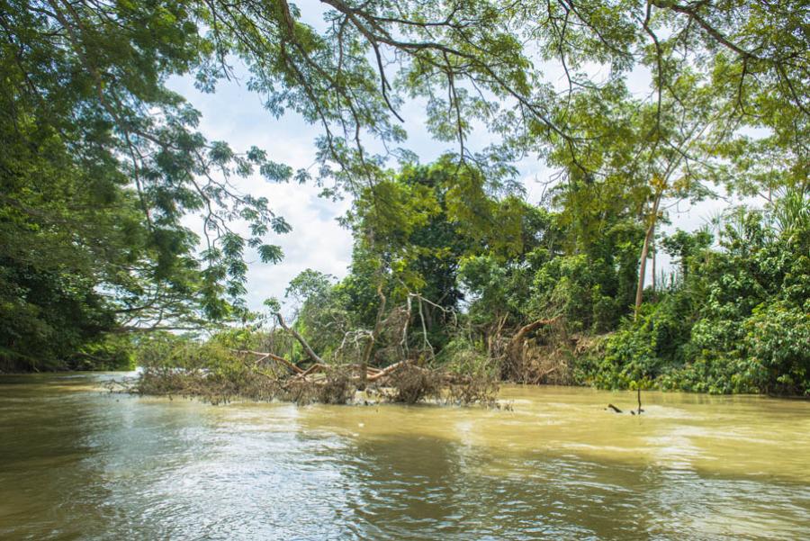 Rio Sinu, Monteria, Cordoba, Colombia