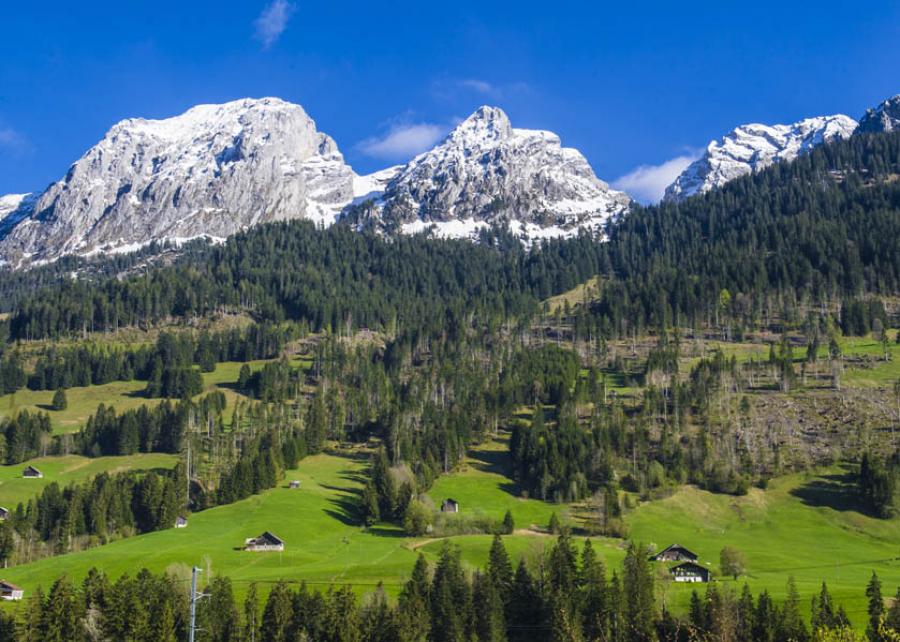 Suiza, Europa