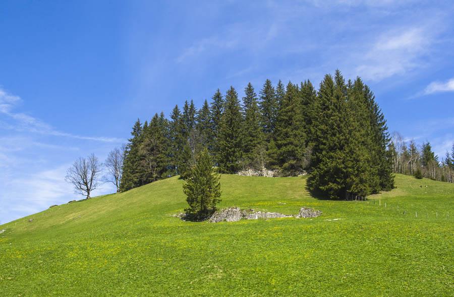 Suiza, Europa