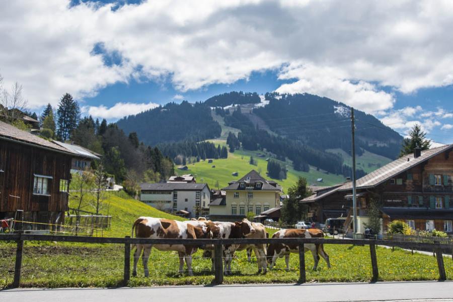 Suiza, Europa