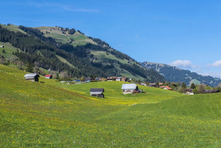 Suiza, Europa