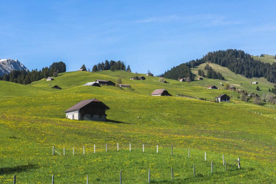 Suiza, Europa