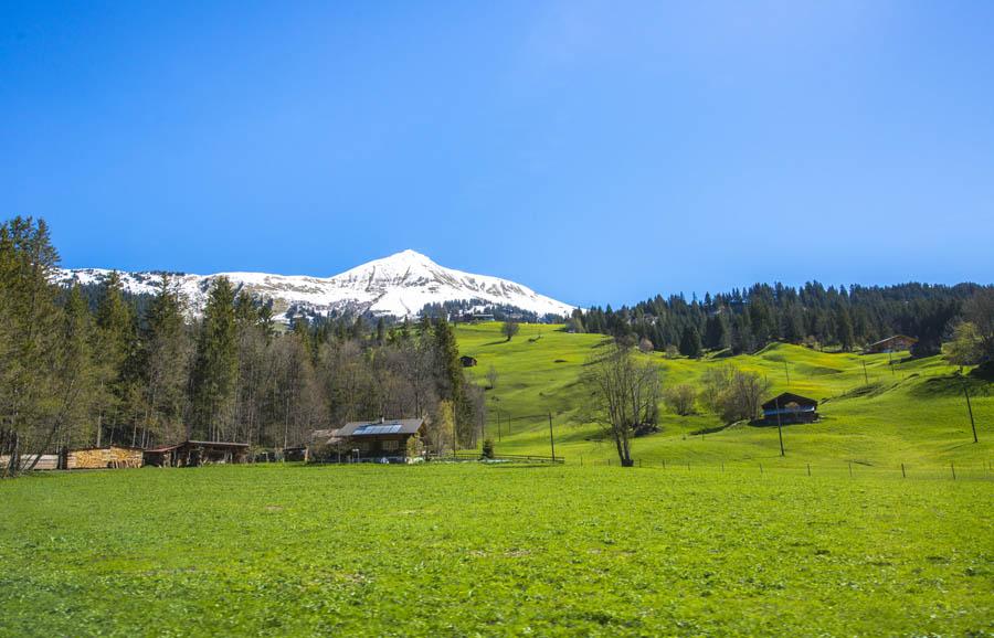 Suiza, Europa