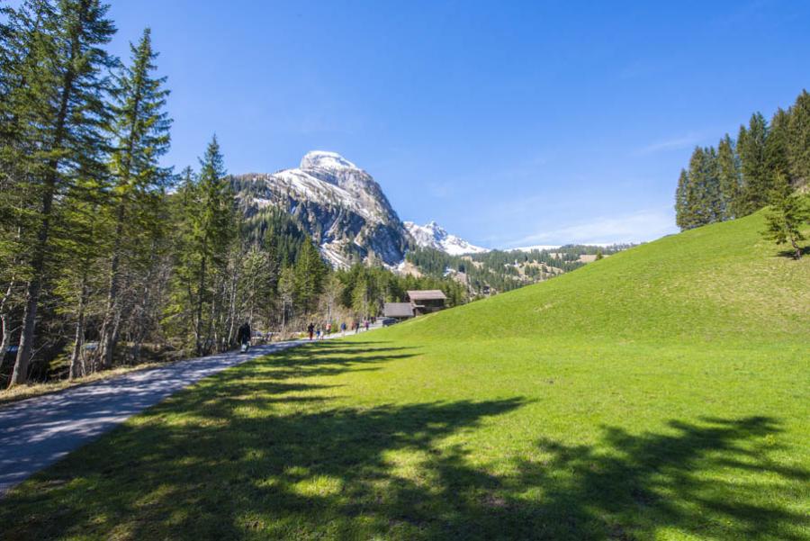 Suiza, Europa