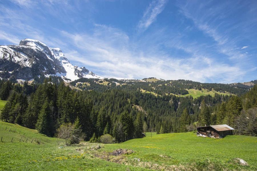 Suiza, Europa