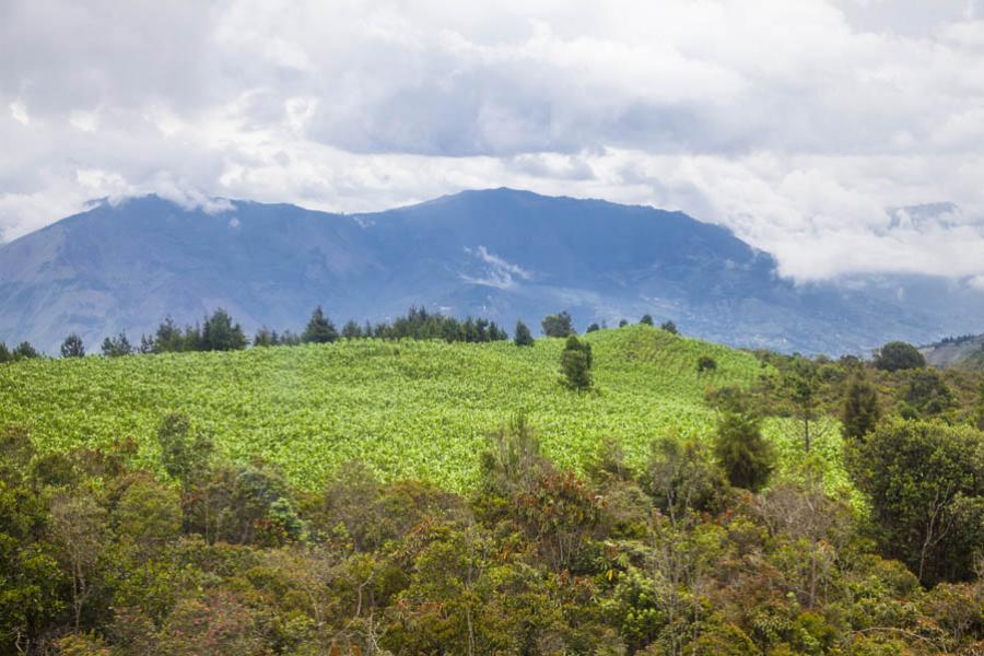 Santa Elena, Antioquia, Colombia