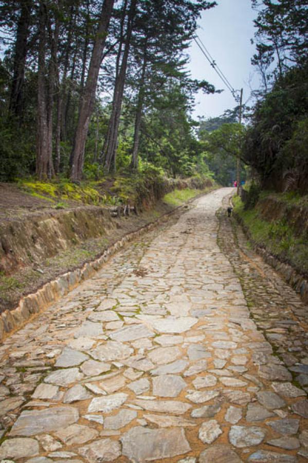 Parque Arvi, Santa Elena, Antioquia, Colombia