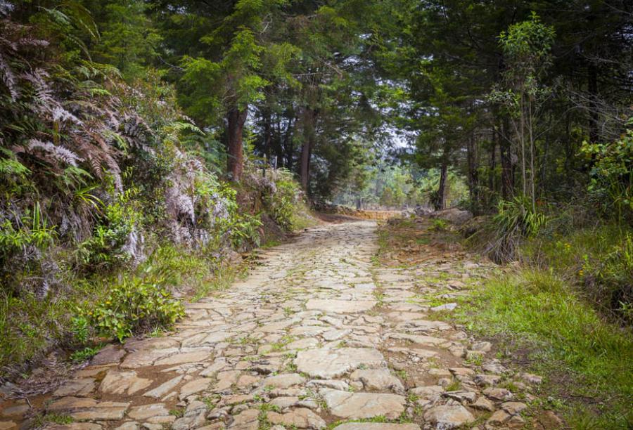 Parque Arvi, Santa Elena, Antioquia, Colombia