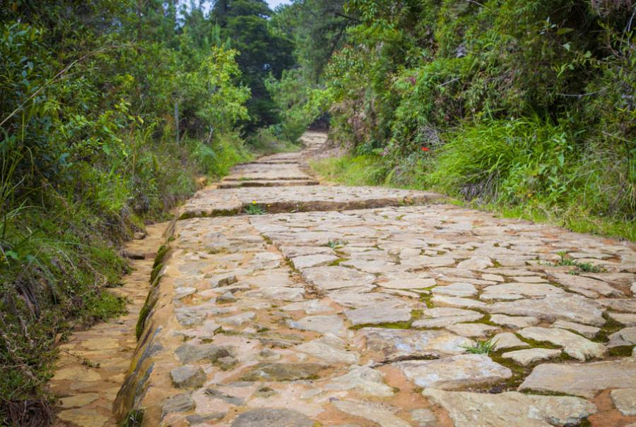 Parque Arvi, Santa Elena, Antioquia, Colombia