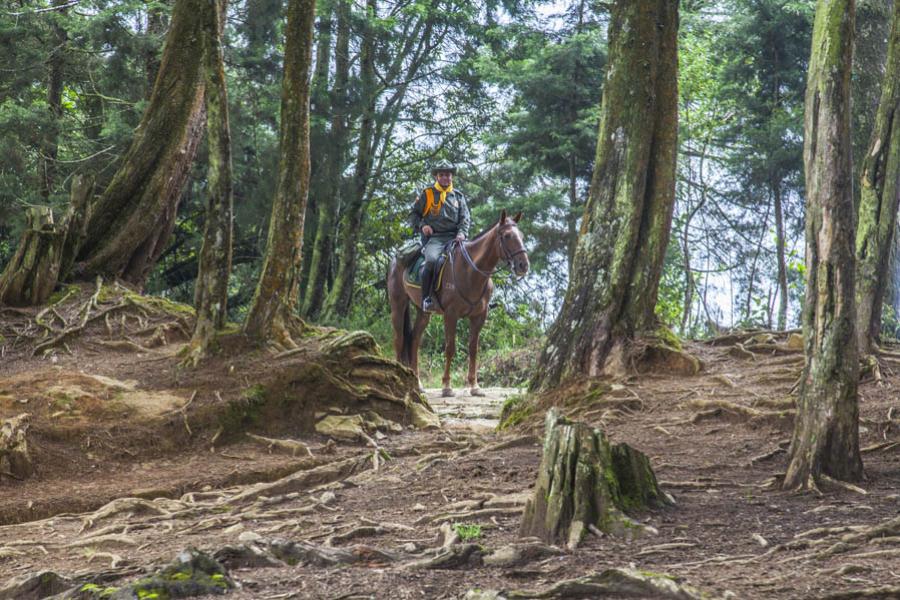 Parque Arvi, Santa Elena, Antioquia, Colombia