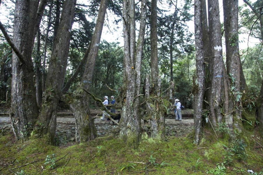 Parque Arvi, Santa Elena, Antioquia, Colombia