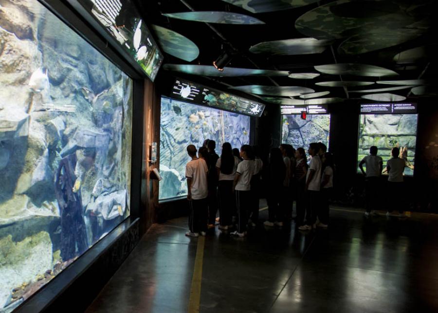 Parque Explora, Medellin, Antioquia, Colombia