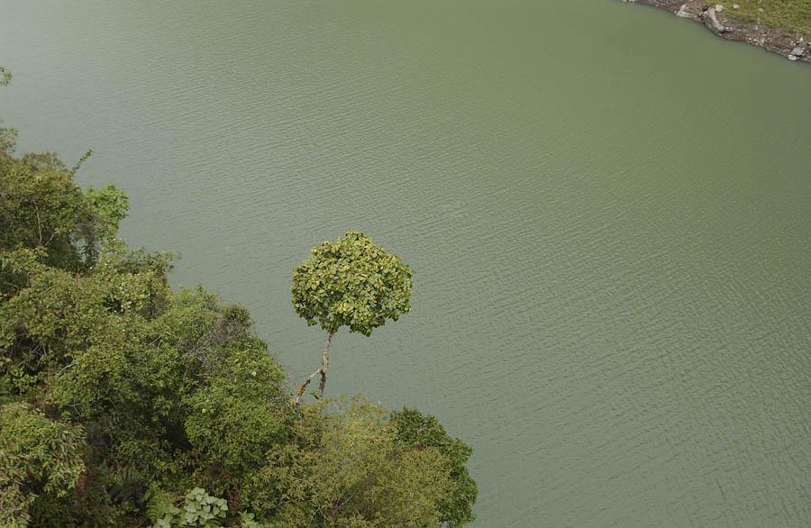 Agua, Colombia