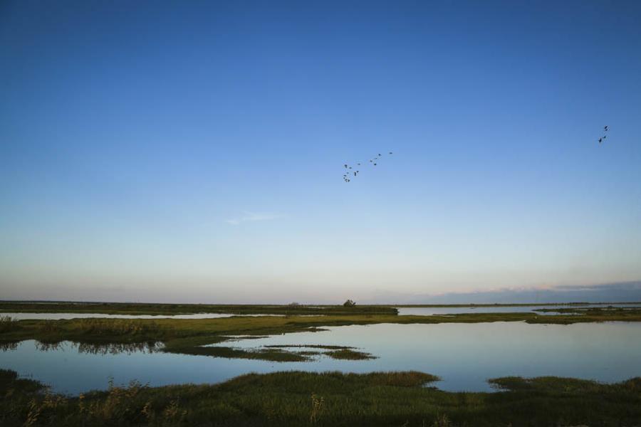 Cienaga, Pinillos, Bolivar, Colombia