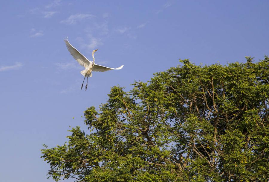 Cienaga, Pinillos, Bolivar, Colombia