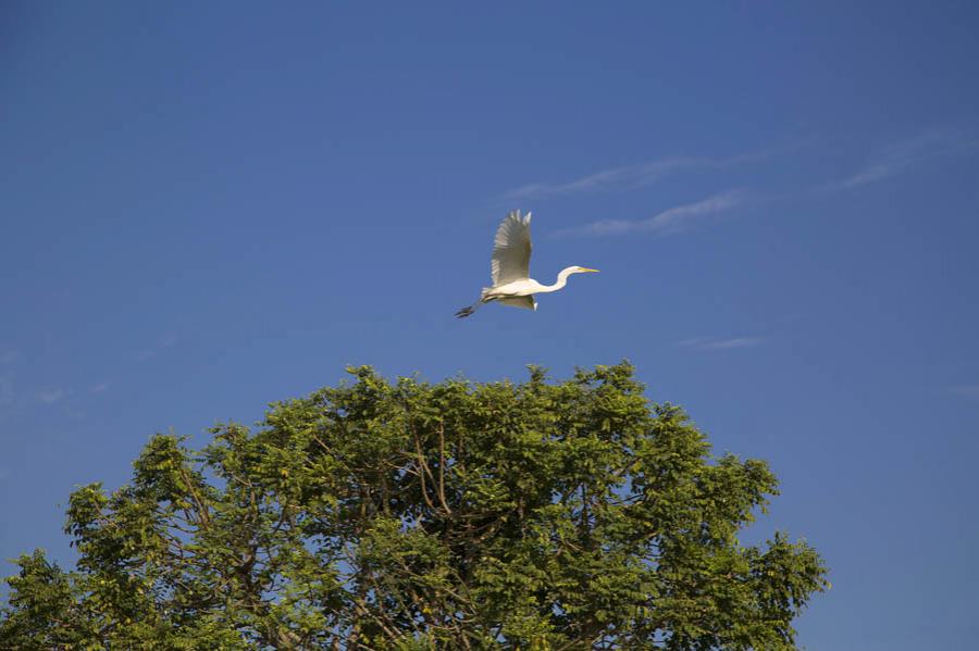 Cienaga, Pinillos, Bolivar, Colombia