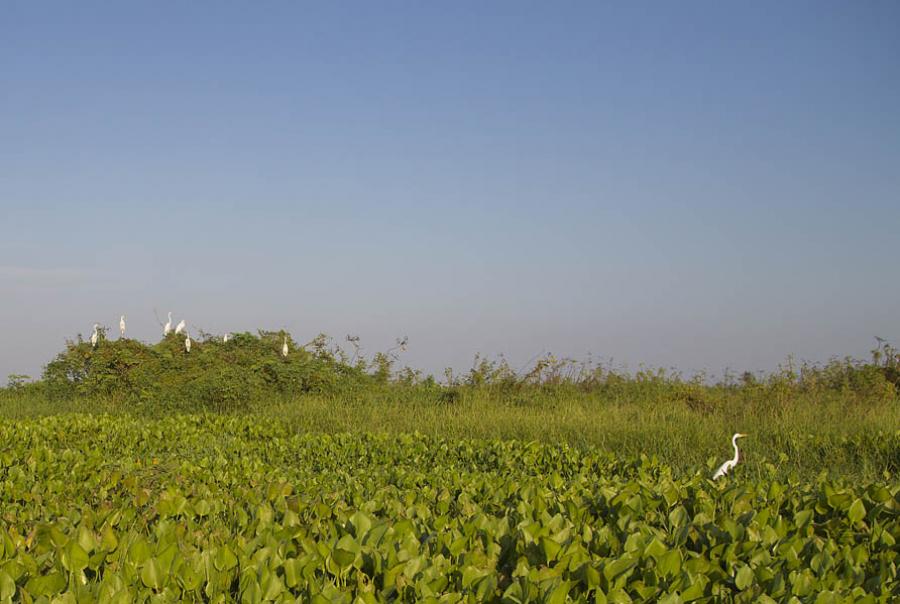 Cienaga, Pinillos, Bolivar, Colombia