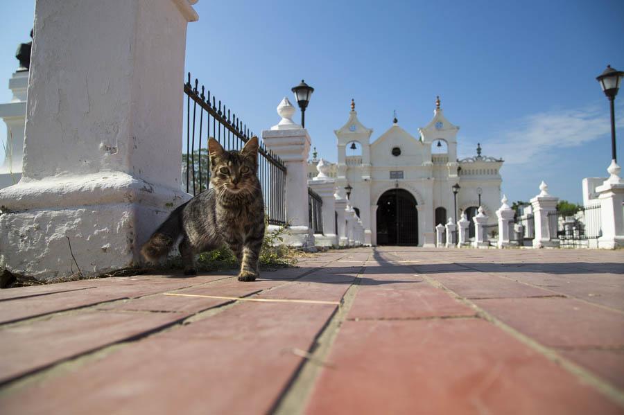 Cementerio Municipal De Mompox, Bolivar, Colombia