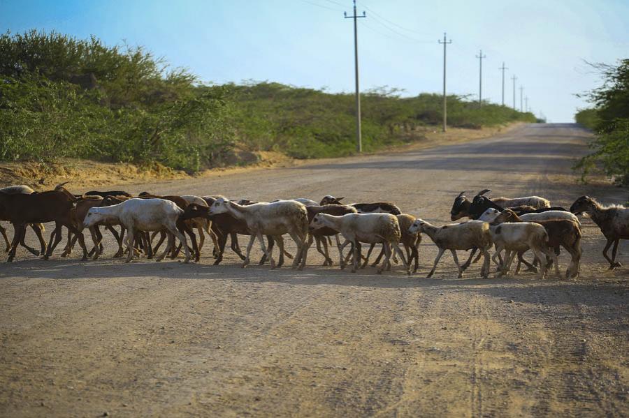 La Guajira, Colombia