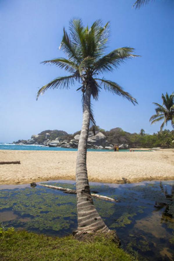 Parque Nacional Natural Tayrona, Magdalena, Santa ...