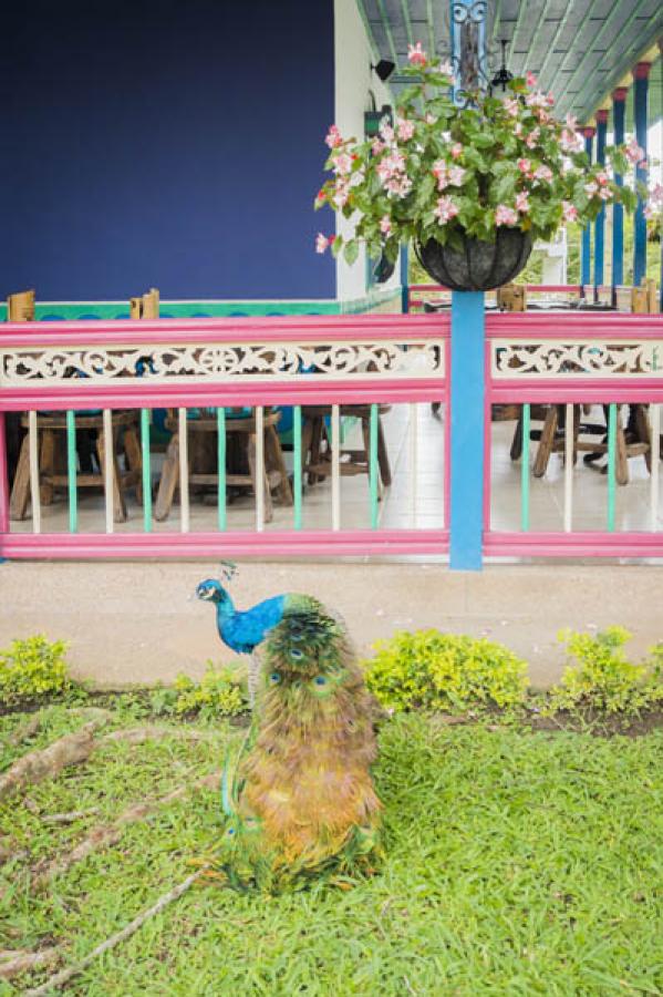 Hotel Las Heliconias, Quindio, Colombia