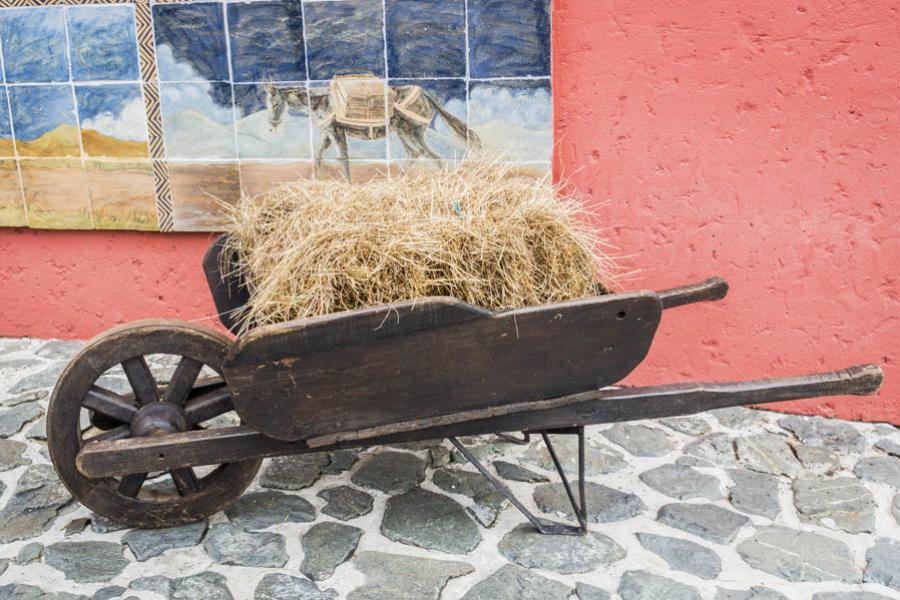 Panaca, Quimbaya, Quindio, Colombia