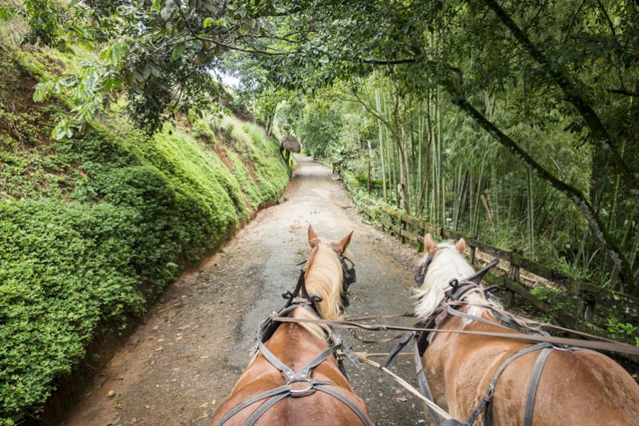 Quindio, Colombia